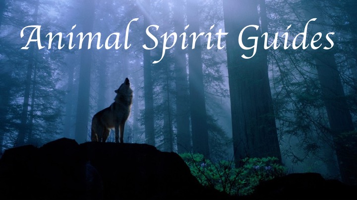 Animal Spirit Messages