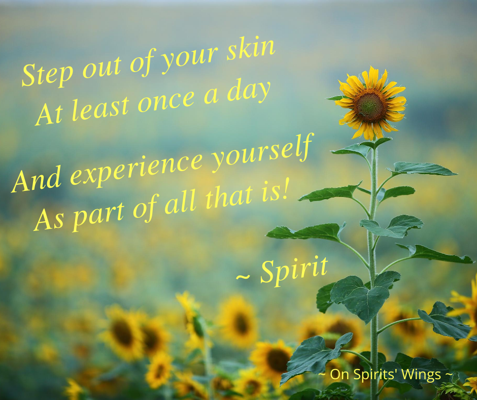 Step Out Of Your Skin At Least Once A Day