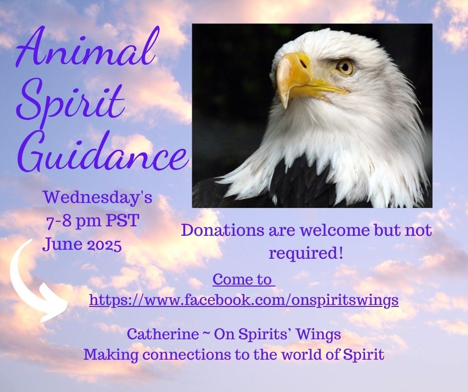 Animal Spirit Guidance Event Wed’s 7-8 pm PST Animal Spirit Guidance Event Wed’s 7-8 pm PST
