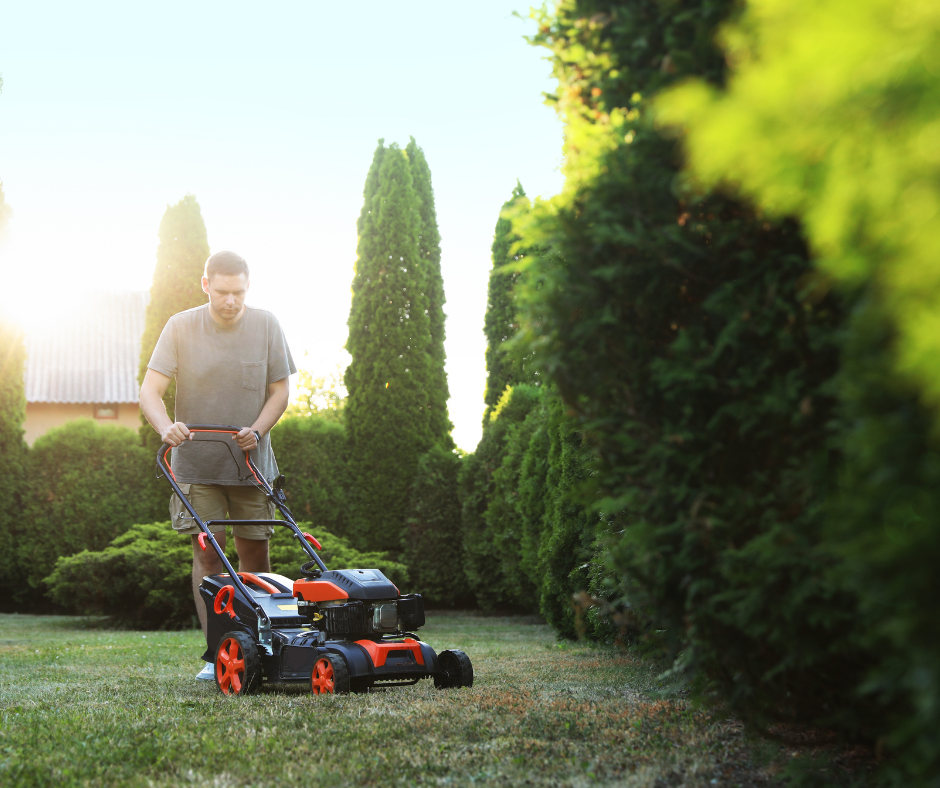 Telepathy: A Soul-to-Soul Update Ten Years Later