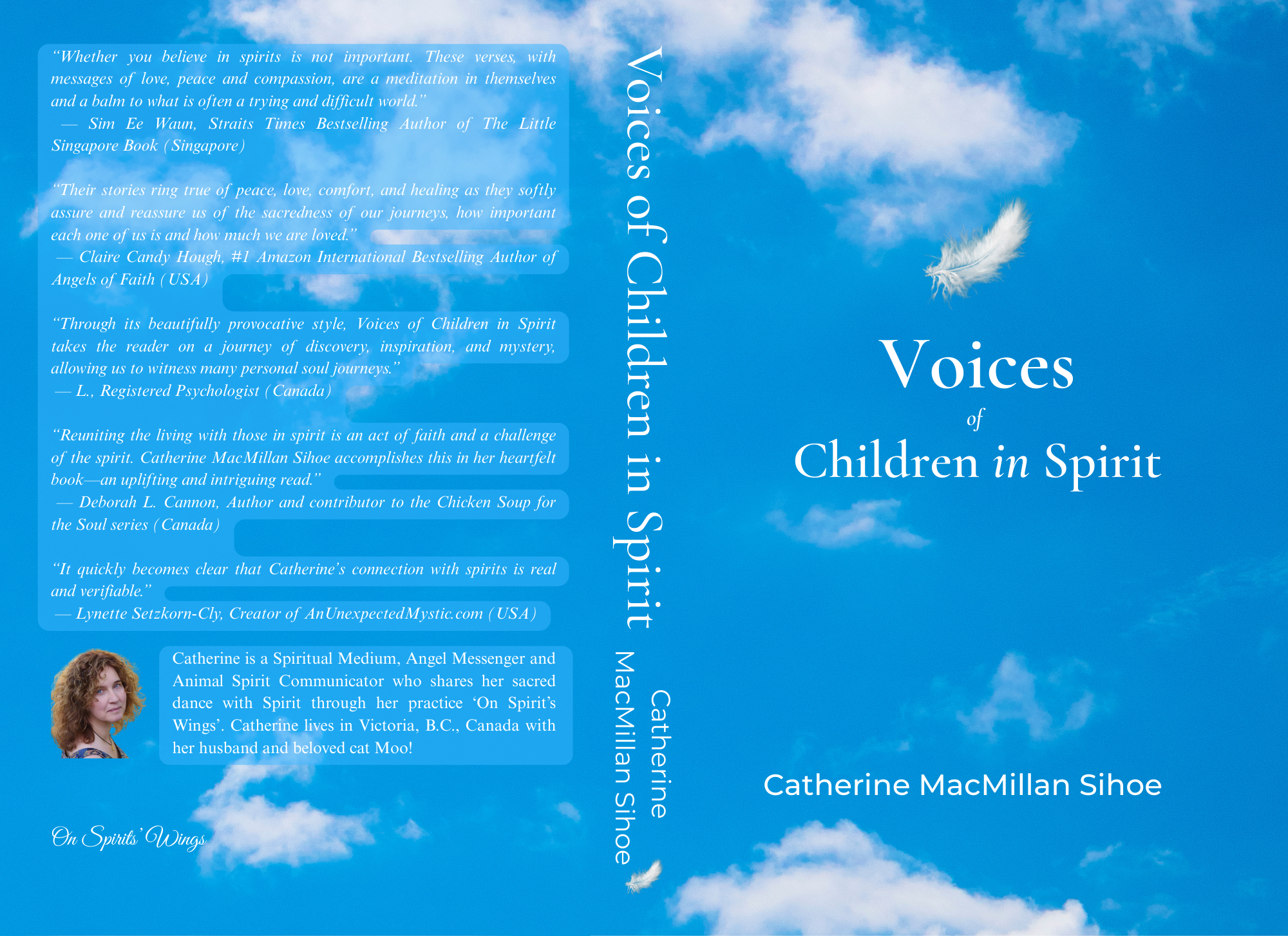 Loving Endorsement from Dr. Mark Pitstick MA DC