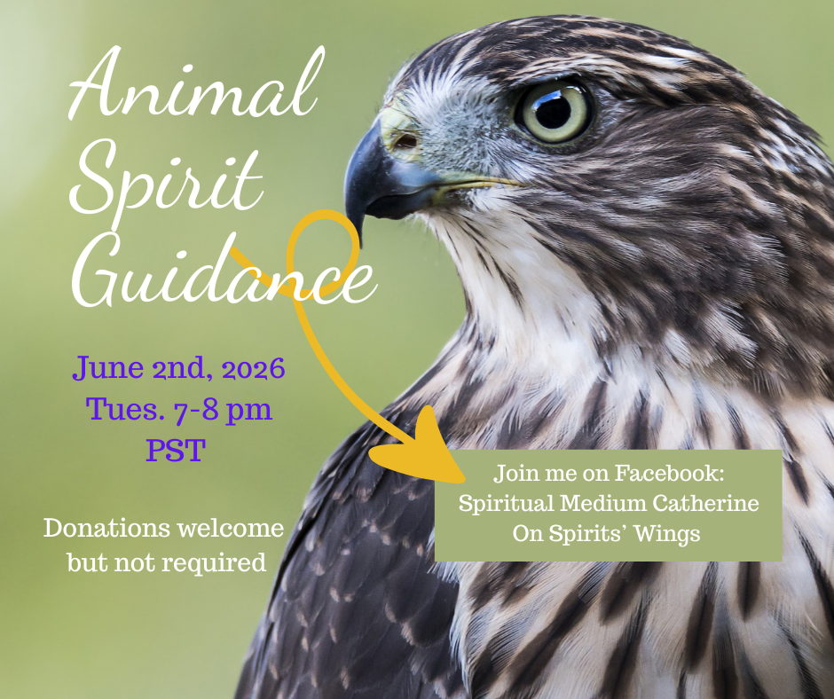 FREE Animal Spirit Event